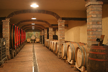 Tenuta la Torretta 3 Tenuta la Torretta 3